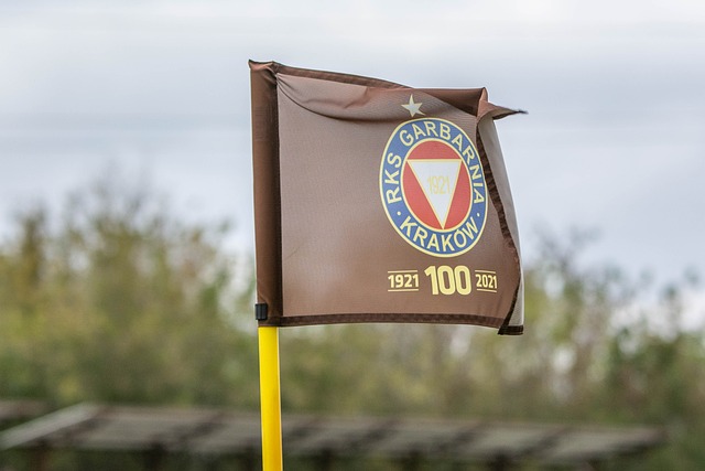 国在战时的 国在战时的