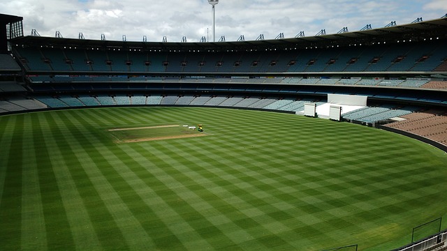 这意味着 这意味着