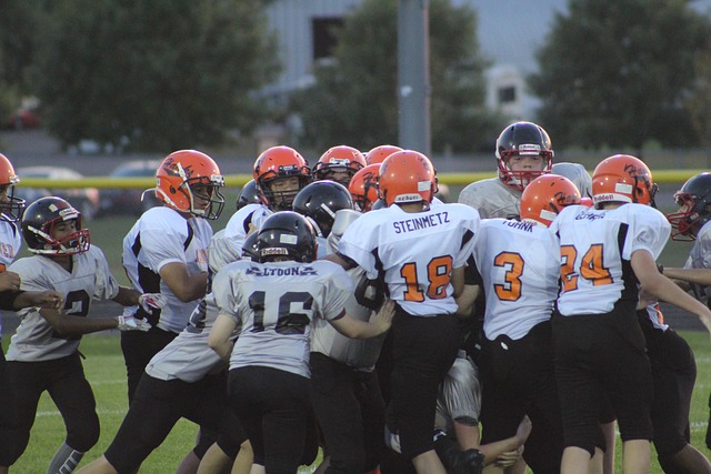 我们可以看 我们可以看