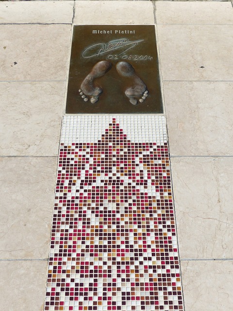 迷的預料 迷的預料