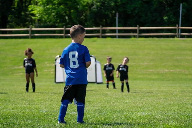 羽壇新高潮 羽壇新高潮