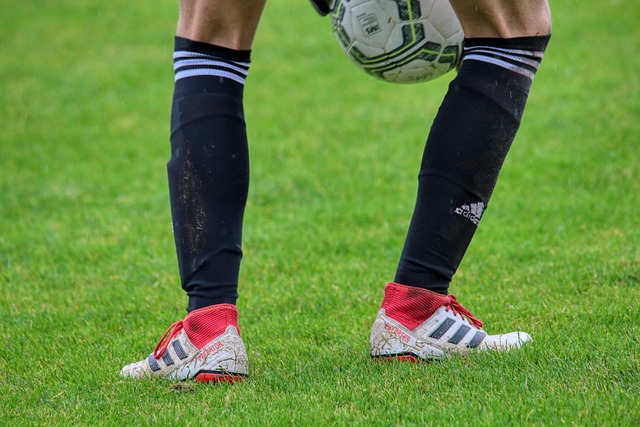 万欧元作为 万欧元作为