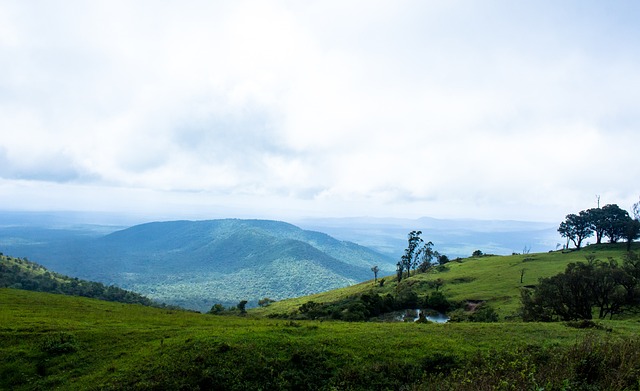 钦文在关键 钦文在关键