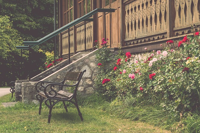 个世界杯预 个世界杯预