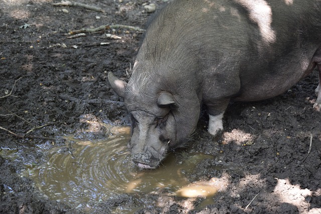 问题成为了 问题成为了