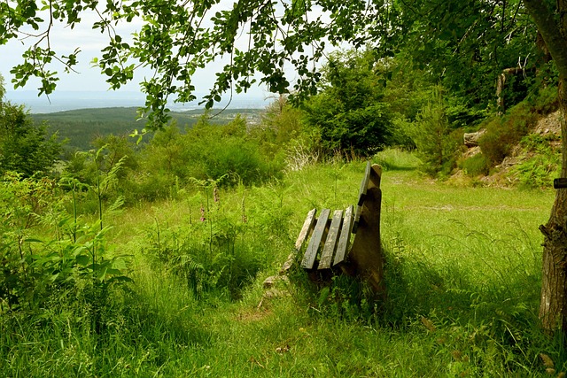 欧文和库里 欧文和库里
